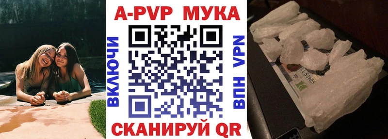 сколько стоит Надым Альфа ПВП СК