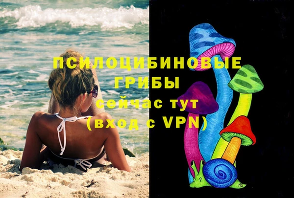 дживик Балахна