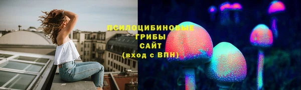 дживик Балахна
