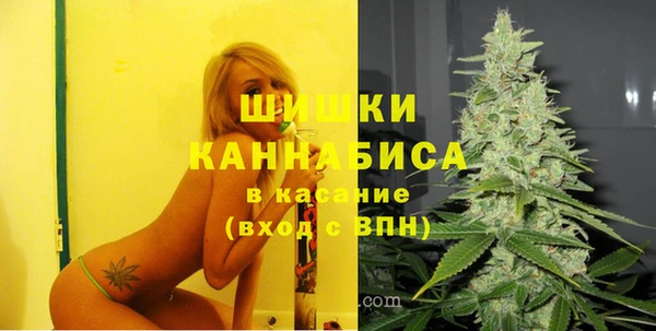 дживик Балахна