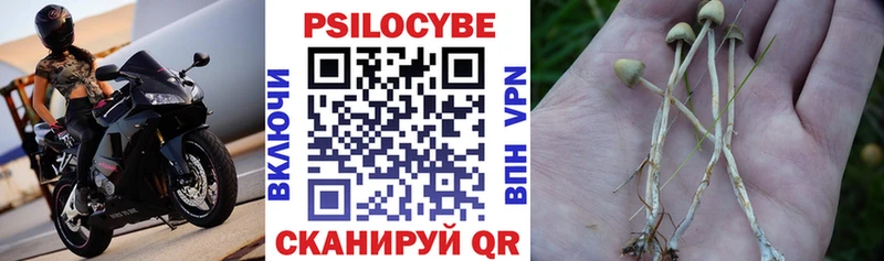 кракен ССЫЛКА  Надым  Псилоцибиновые грибы Cubensis 