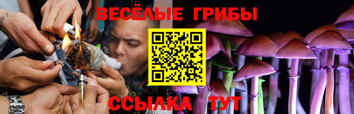 Галлюциногенные грибы MAGIC MUSHROOMS Надым