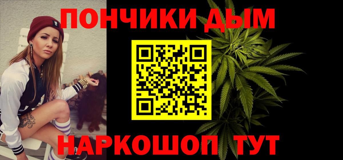 Канабис сатива Надым